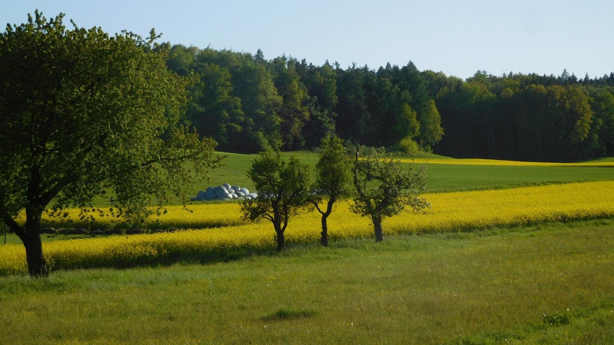 Ferienwohnung Porschendorf Durrrohrsdorf-Dittersbach Esterno foto